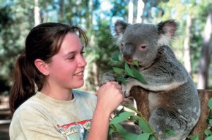 Bribane etudiante et koala