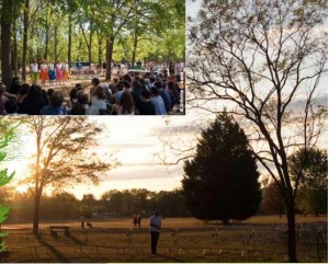 Le festival Woodstower offre de nombreuses activités et des terrains de verdures protégés