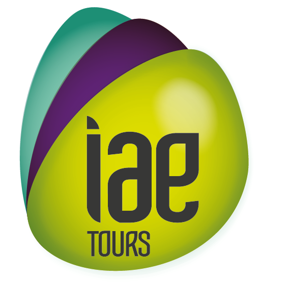 iae management international tours