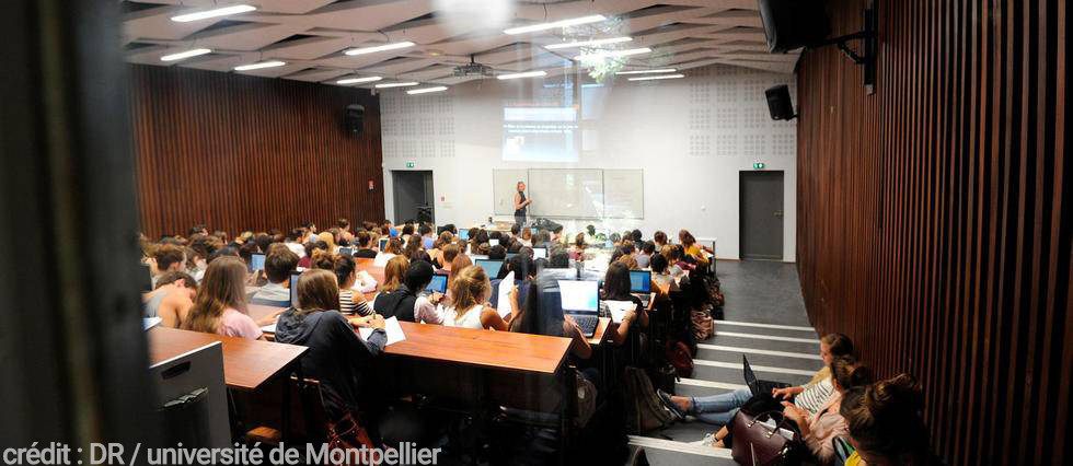 Fac de Montpellier crédit Le Nouveau Montpellier DR