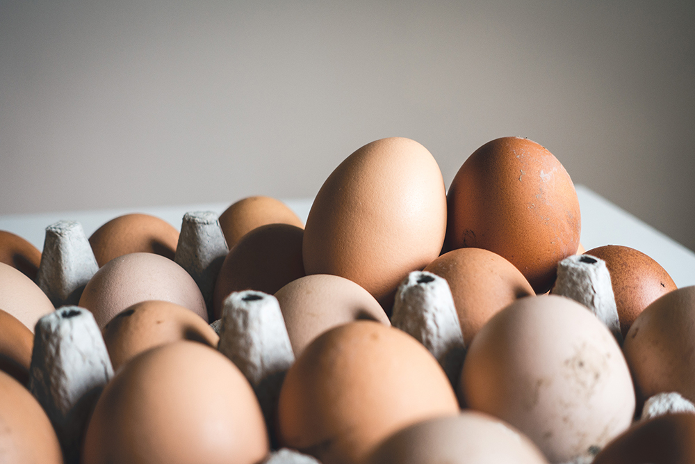 alimentation équilibrée